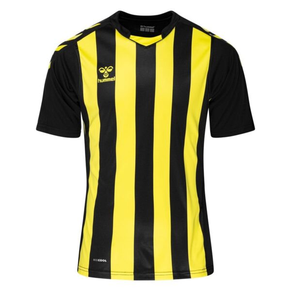 Hummel Spilletrøje hmlCORE XK Striped - Sort/Gul, størrelse Small