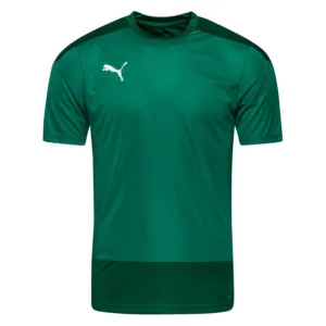 PUMA Trænings T-Shirt teamGOAL 23 - Grøn/Grøn, størrelse XX-Large