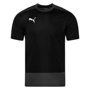 PUMA Trænings T-Shirt teamGOAL 23 - Sort/Asfalt, størrelse X-Large